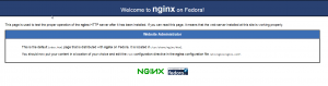 Default Landing Page NGINX