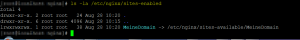 NGINX up and running