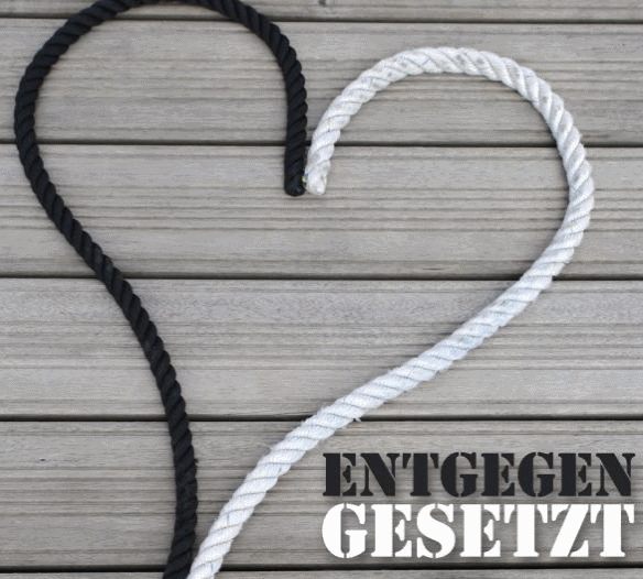 Entgegengesetzt - 2 Menschen 2 Sichtweisen und ein Buch
